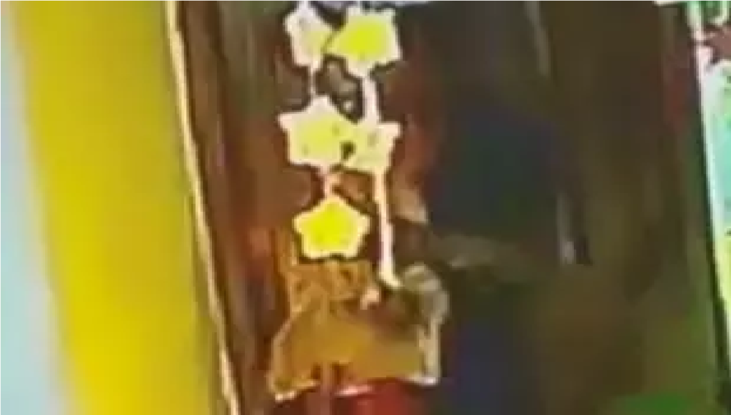 CG News : रायपुर नर्सरी स्कूल में आया की क्रूरता का आरोप, बच्चों से बदसलूकी का वीडियो वायरल